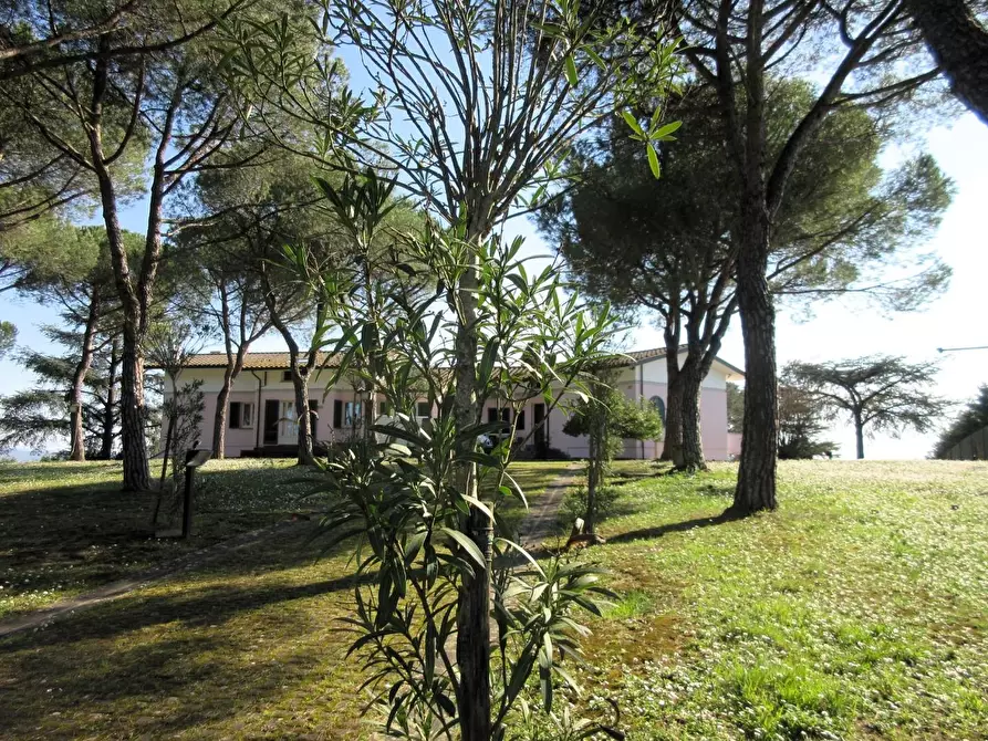 Immagine 20 di Villa in vendita  a Cerreto Guidi