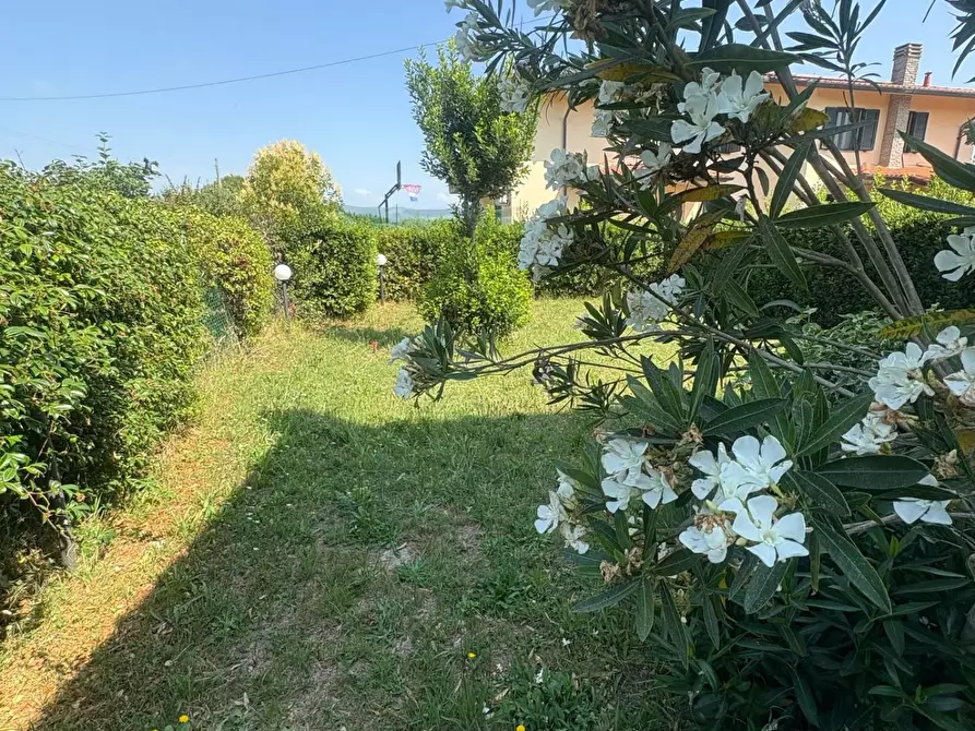 Immagine 8 di Casa bifamiliare in vendita  a Casciana Terme Lari