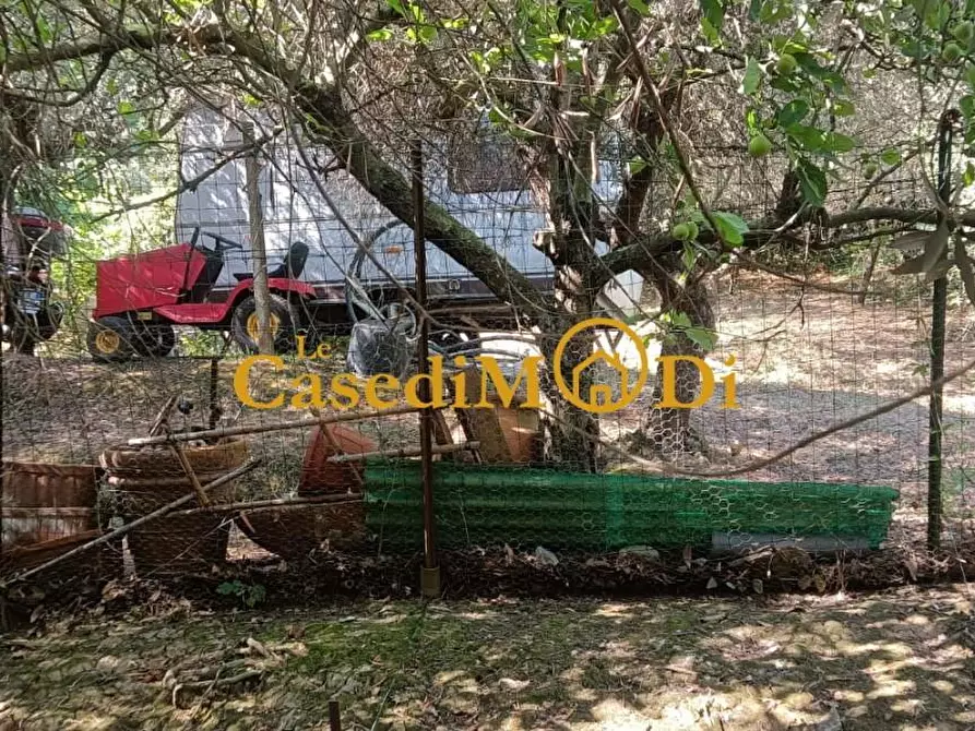 Immagine 24 di Terreno agricolo in vendita  a Livorno