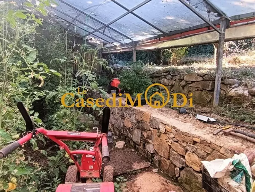 Immagine 31 di Terreno agricolo in vendita  a Livorno