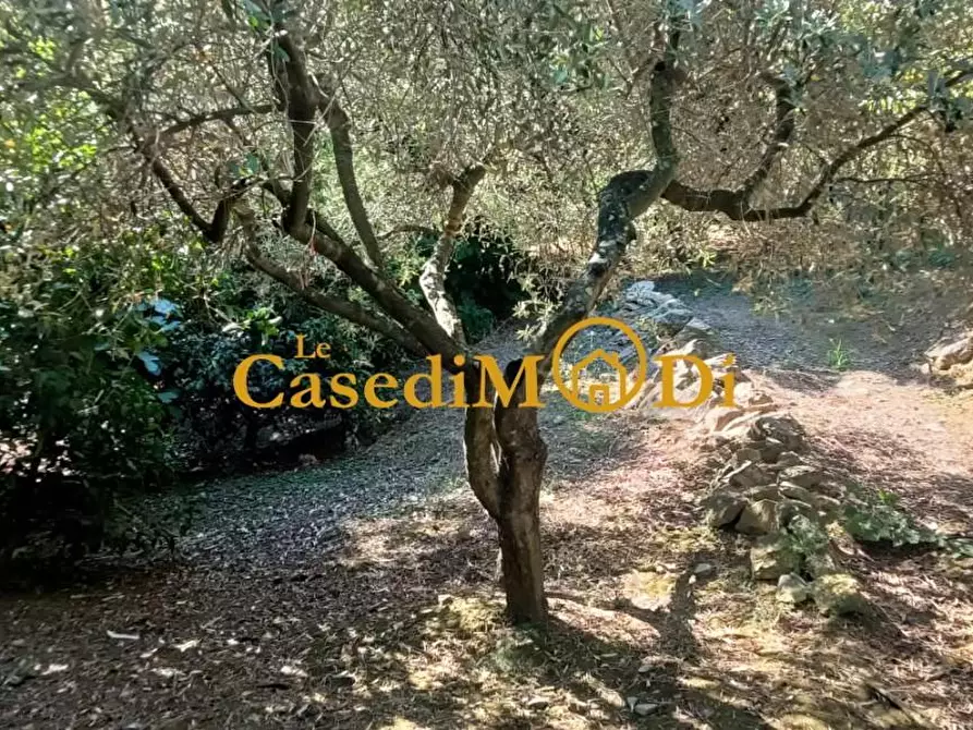 Immagine 17 di Terreno agricolo in vendita  a Livorno