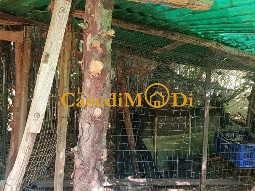 Immagine 19 di Terreno agricolo in vendita  a Livorno