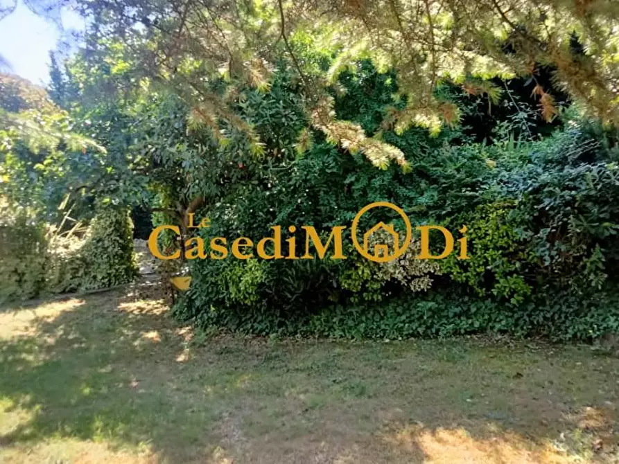 Immagine 8 di Terreno agricolo in vendita  a Livorno