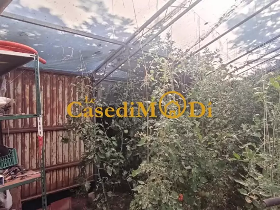 Immagine 29 di Terreno agricolo in vendita  a Livorno