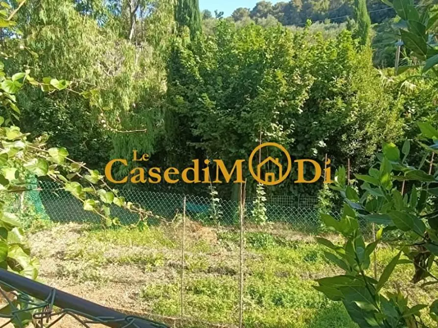 Immagine 9 di Terreno agricolo in vendita  a Livorno