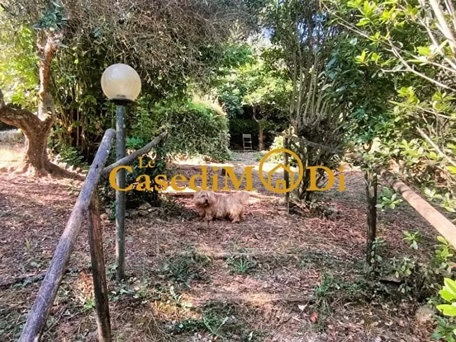 Immagine 16 di Terreno agricolo in vendita  a Livorno