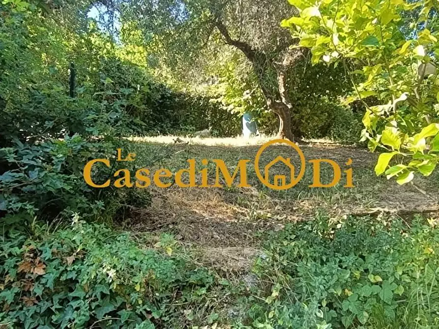 Immagine 13 di Terreno agricolo in vendita  a Livorno