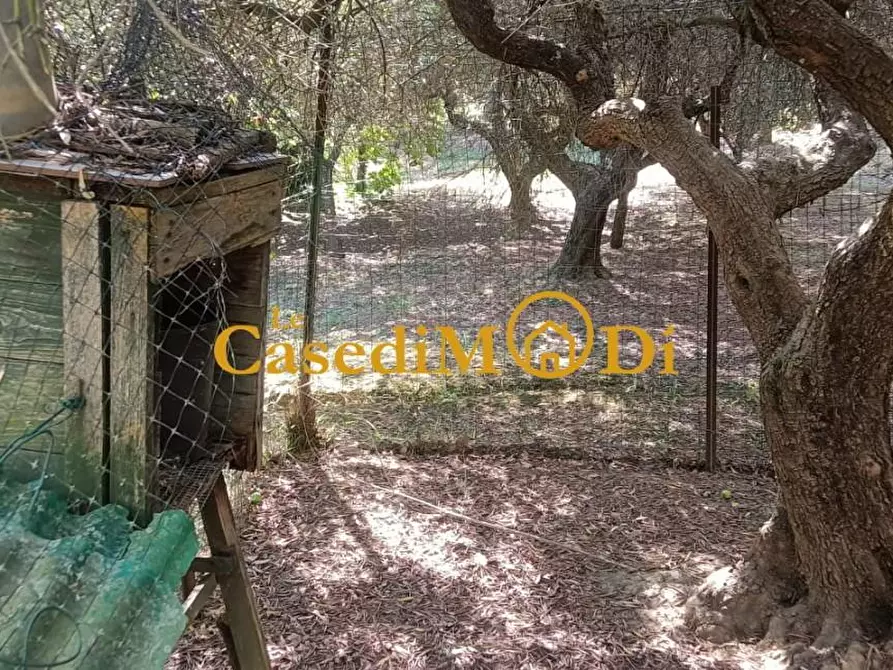 Immagine 21 di Terreno agricolo in vendita  a Livorno