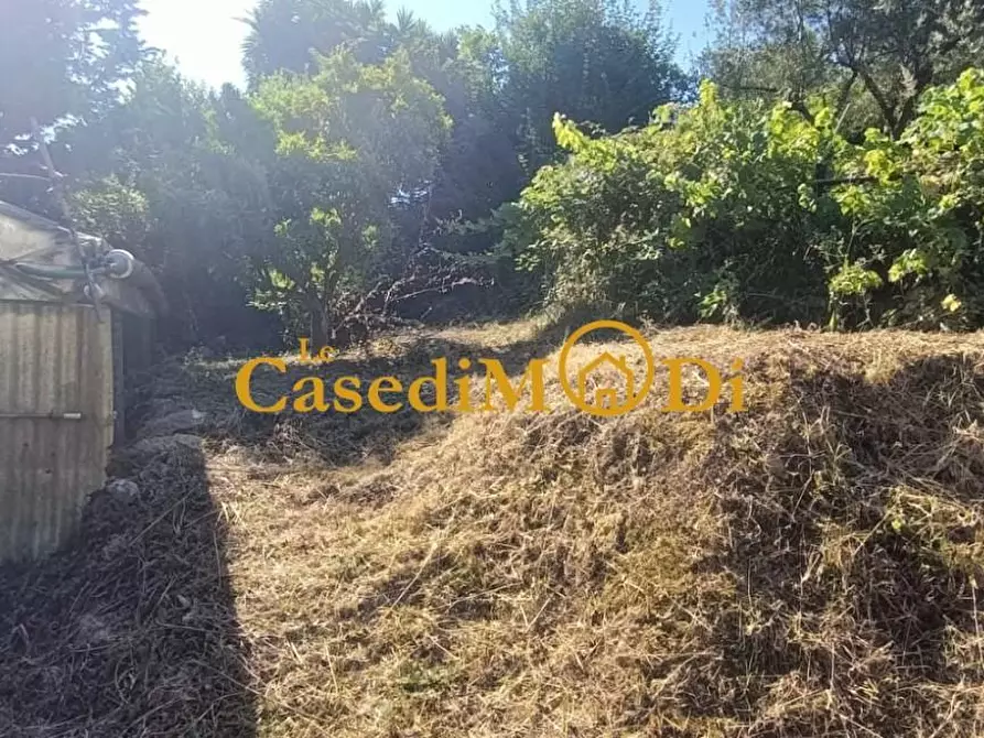 Immagine 28 di Terreno agricolo in vendita  a Livorno