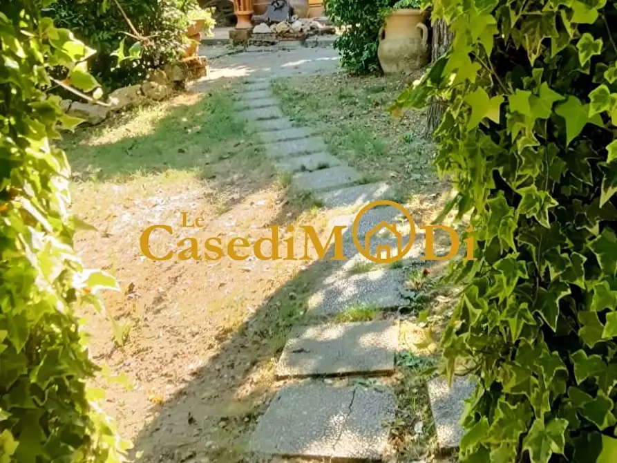 Immagine 2 di Terreno agricolo in vendita  a Livorno