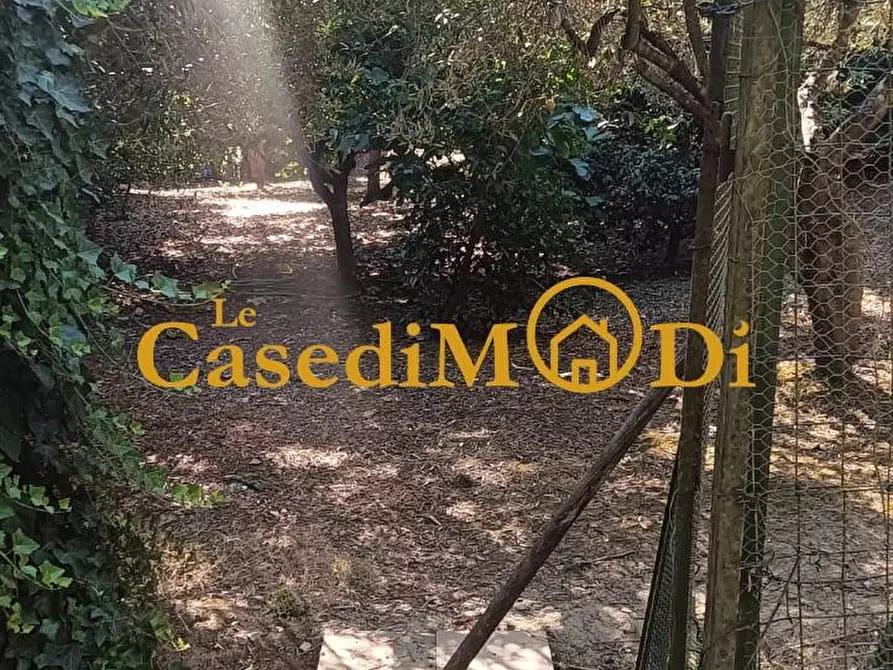 Immagine 35 di Terreno agricolo in vendita  a Livorno