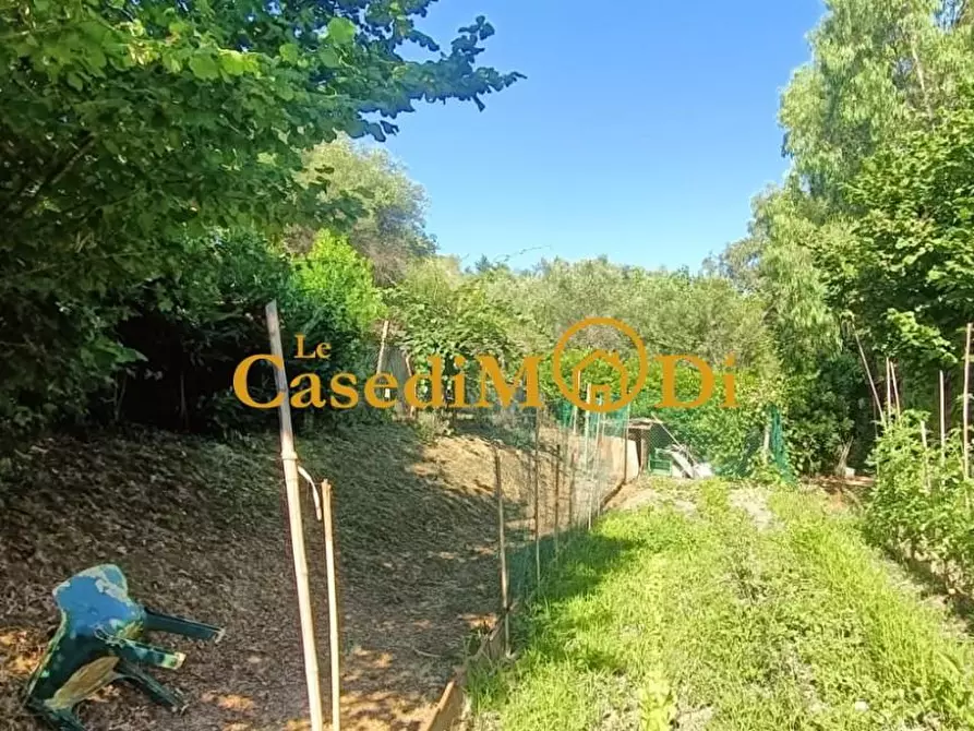 Immagine 10 di Terreno agricolo in vendita  a Livorno