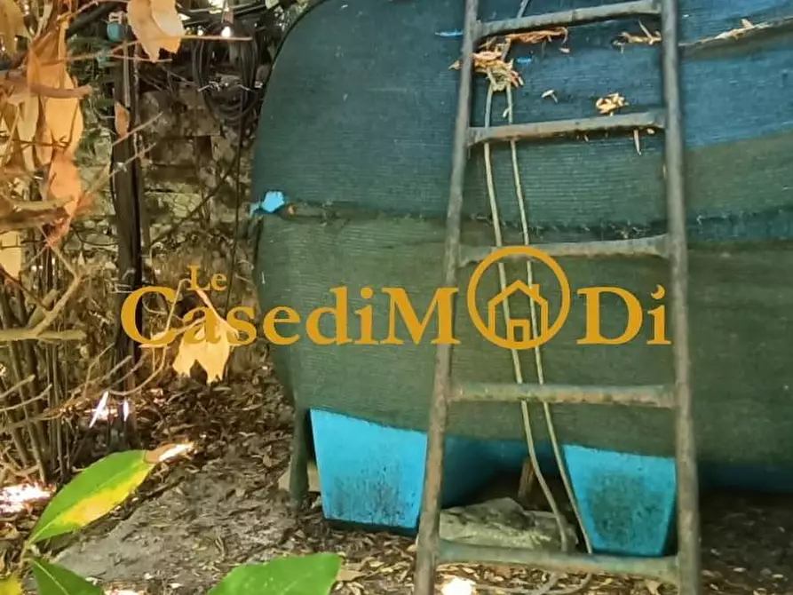 Immagine 37 di Terreno agricolo in vendita  a Livorno