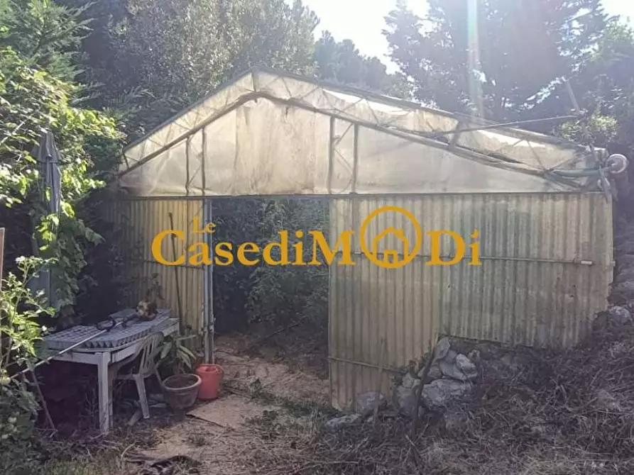 Immagine 23 di Terreno agricolo in vendita  a Livorno