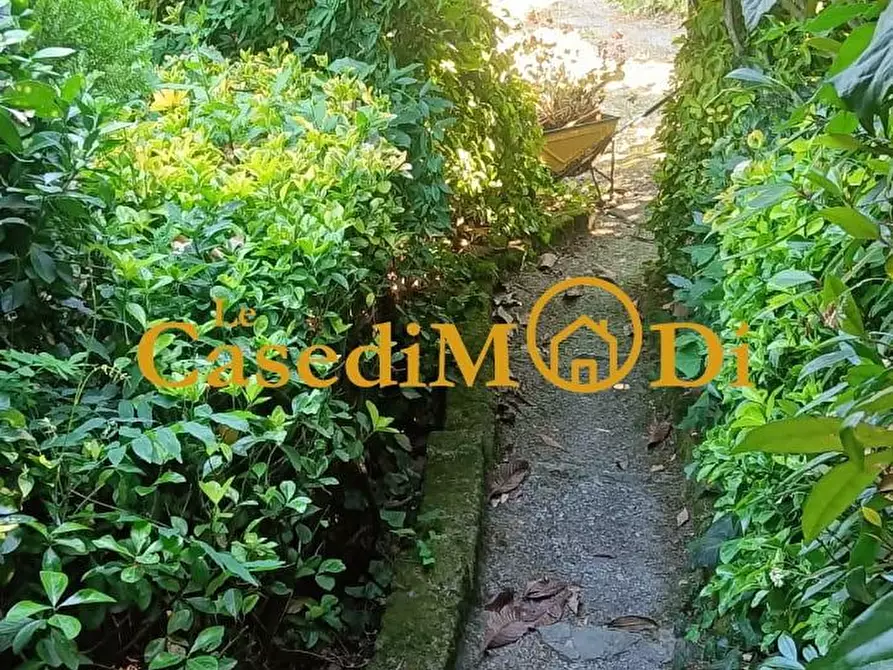 Immagine 3 di Terreno agricolo in vendita  a Livorno