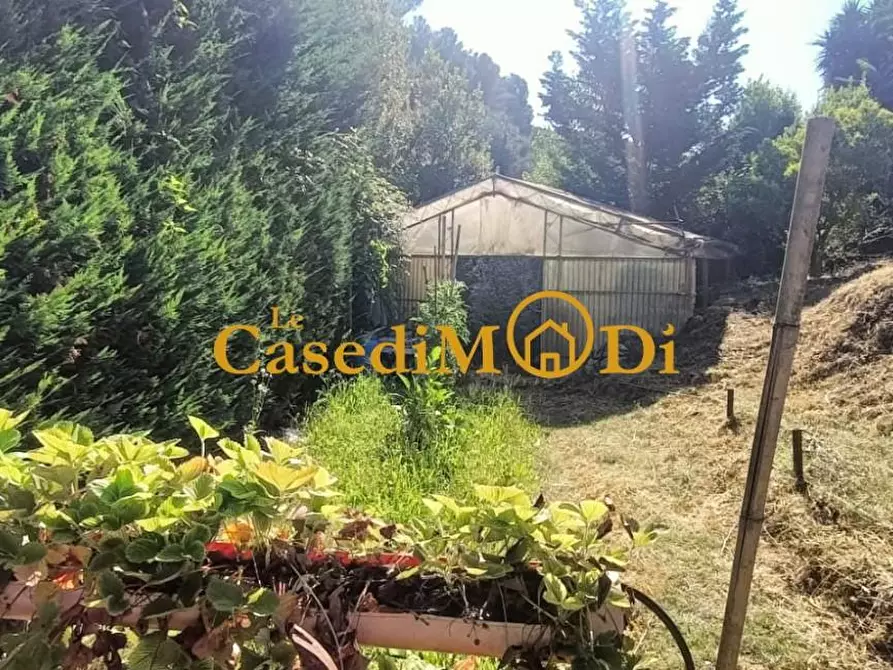 Immagine 27 di Terreno agricolo in vendita  a Livorno