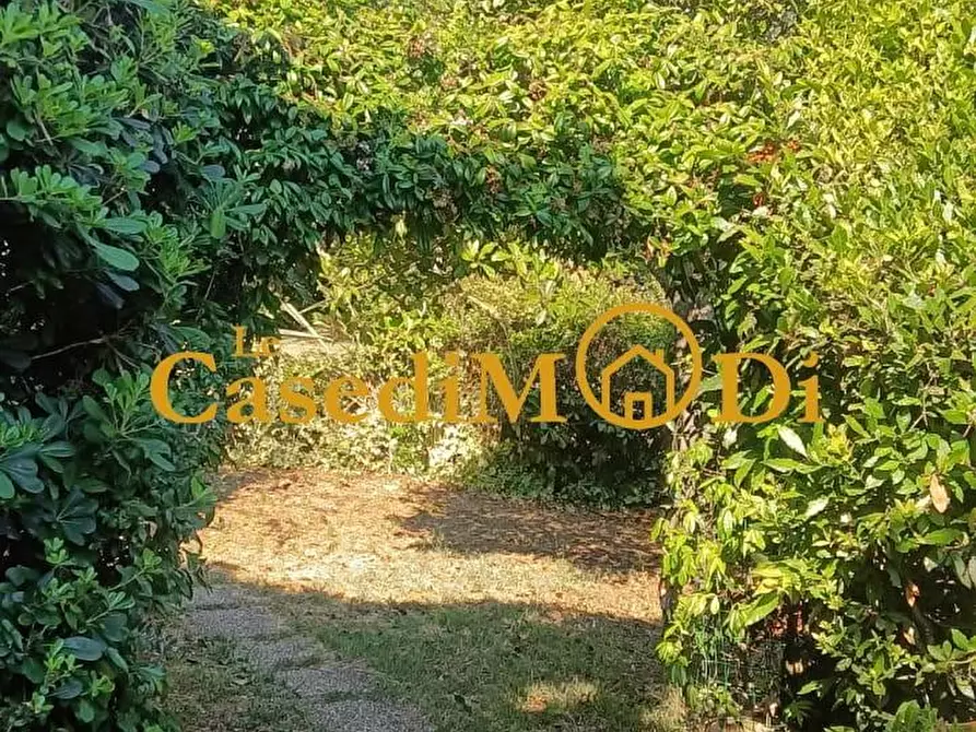 Immagine 5 di Terreno agricolo in vendita  a Livorno