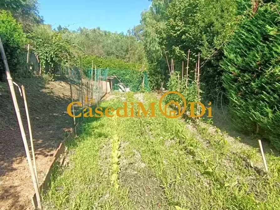 Immagine 11 di Terreno agricolo in vendita  a Livorno