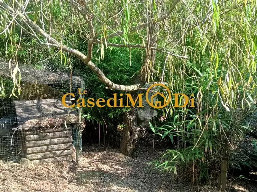 Immagine 20 di Terreno agricolo in vendita  a Livorno