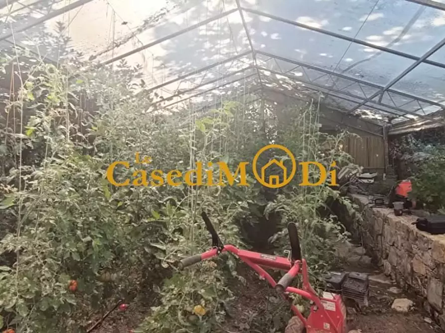 Immagine 30 di Terreno agricolo in vendita  a Livorno