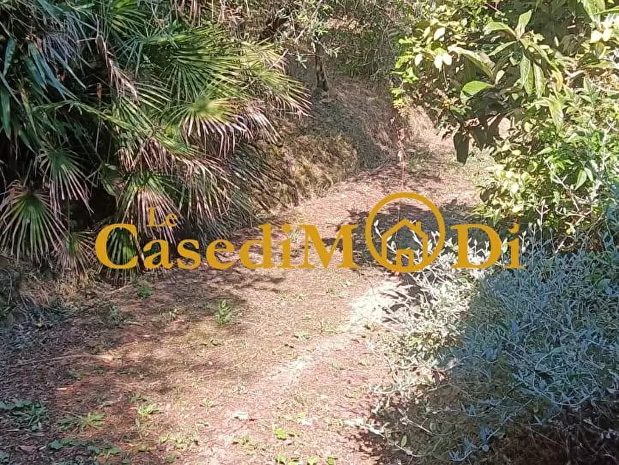 Immagine 7 di Terreno agricolo in vendita  a Livorno