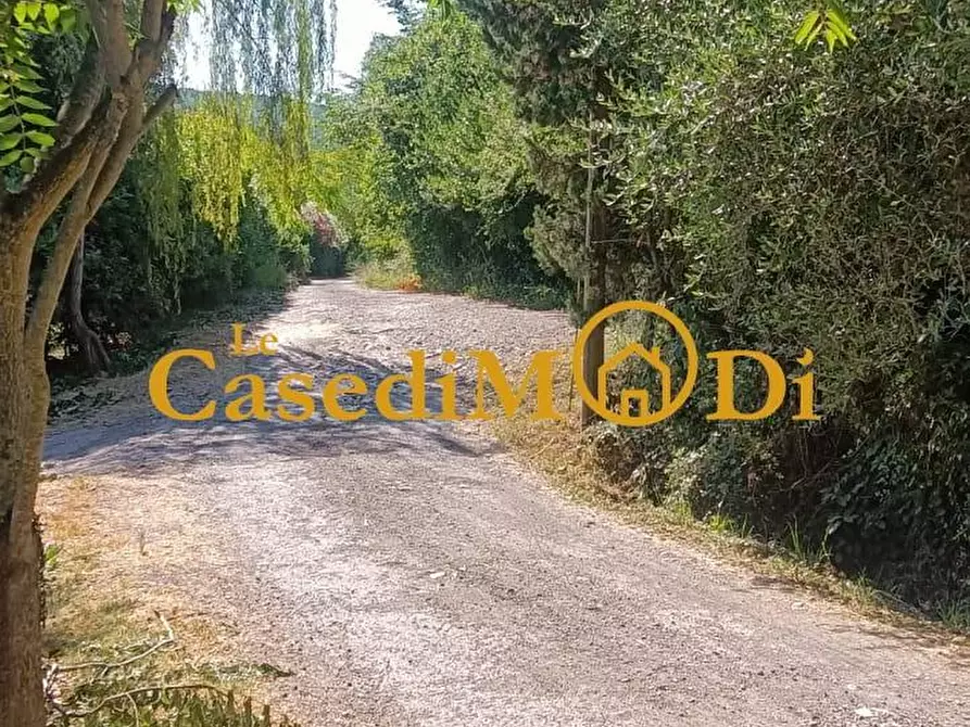 Immagine 6 di Terreno agricolo in vendita  a Livorno