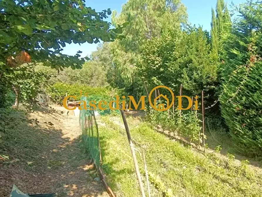 Immagine 12 di Terreno agricolo in vendita  a Livorno