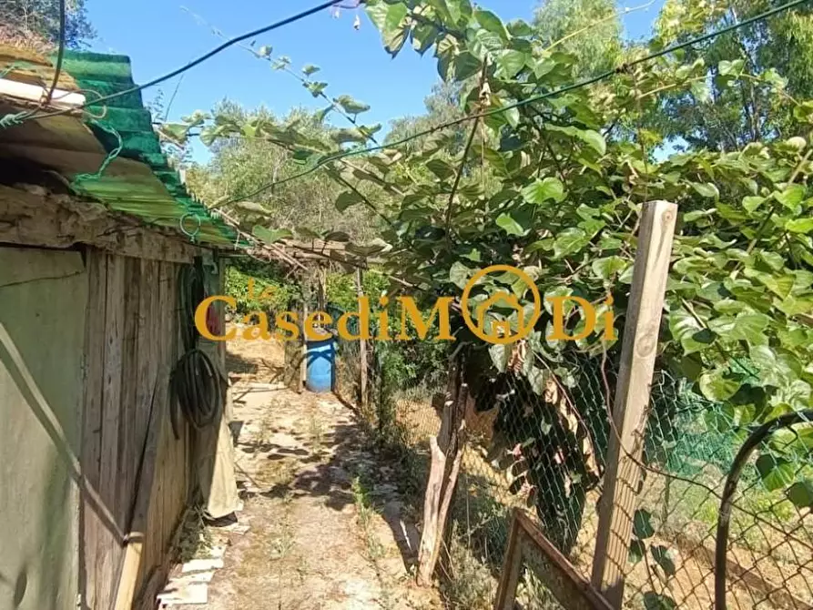 Immagine 26 di Terreno agricolo in vendita  a Livorno