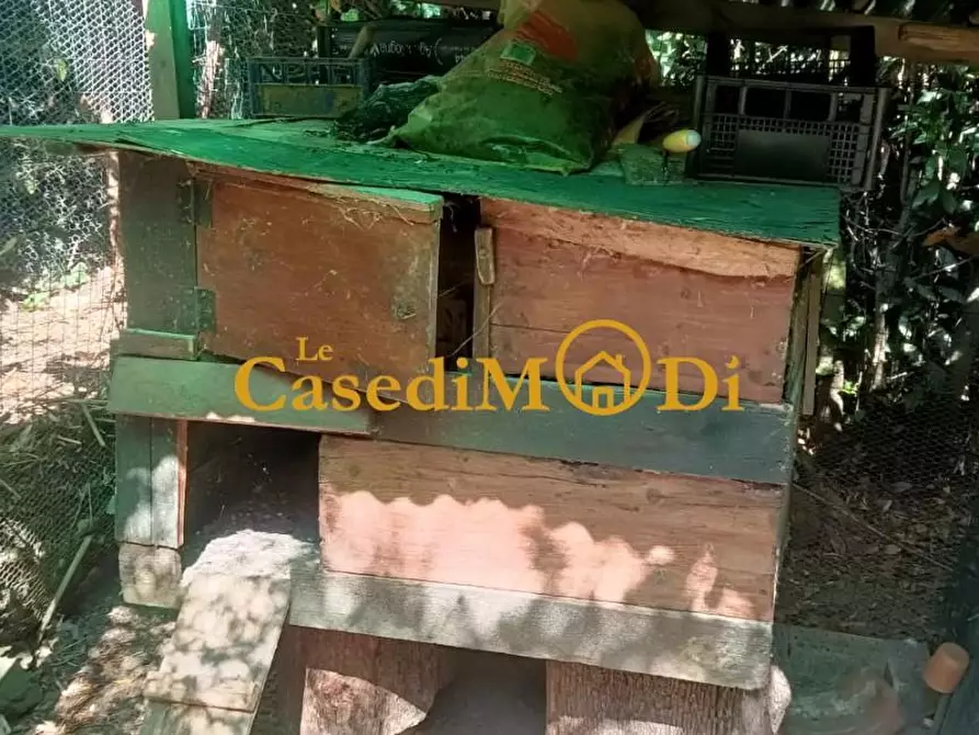 Immagine 25 di Terreno agricolo in vendita  a Livorno