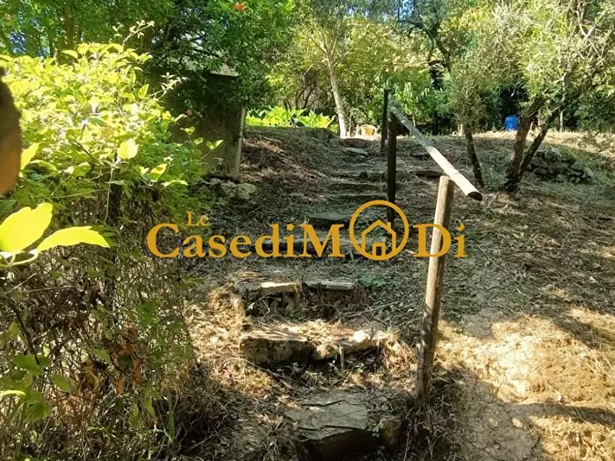 Immagine 22 di Terreno agricolo in vendita  a Livorno