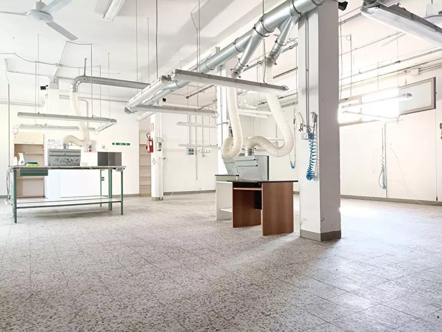 Immagine 18 di Attività artigianale in affitto  a Vinci