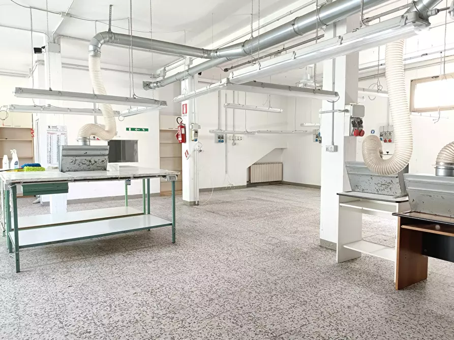 Immagine 6 di Attività artigianale in affitto  a Vinci