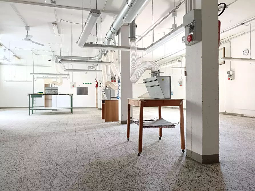 Immagine 14 di Attività artigianale in affitto  a Vinci