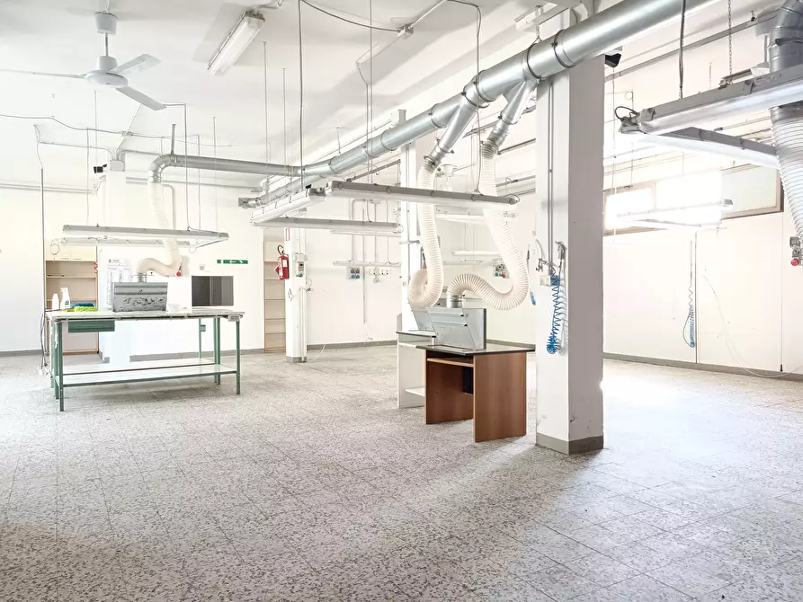 Immagine 16 di Attività artigianale in affitto  a Vinci