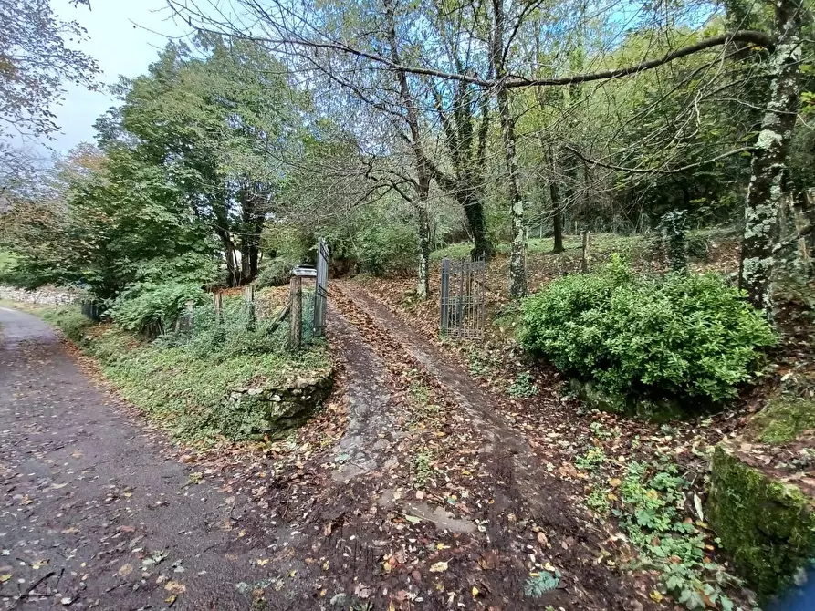Immagine 73 di Terratetto in vendita  a Bagni Di Lucca