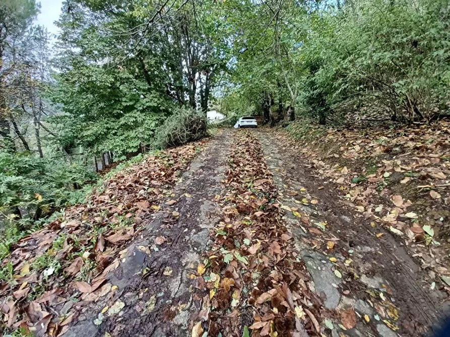 Immagine 72 di Terratetto in vendita  a Bagni Di Lucca