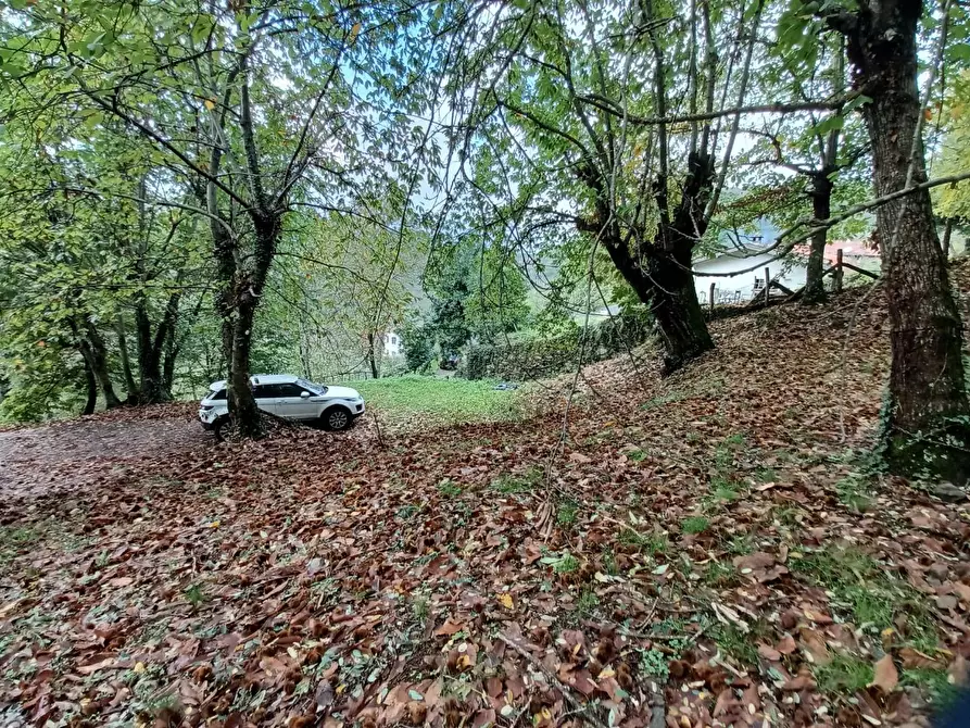Immagine 68 di Terratetto in vendita  a Bagni Di Lucca