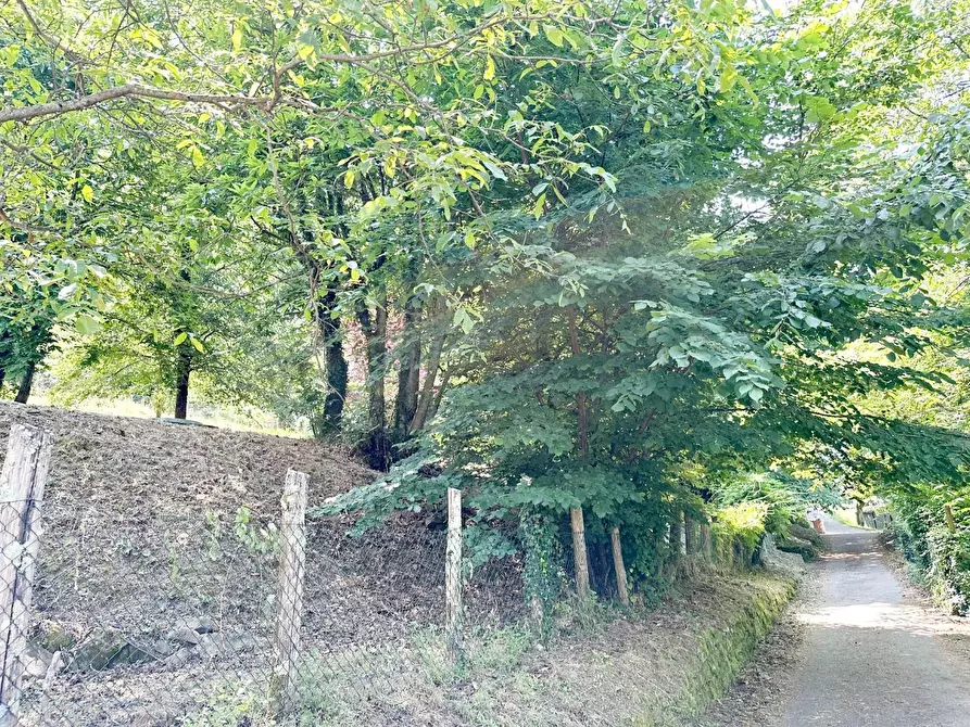 Immagine 59 di Terratetto in vendita  a Bagni Di Lucca