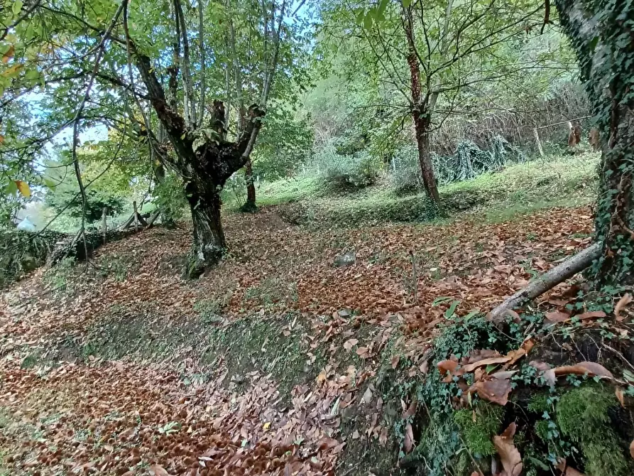 Immagine 64 di Terratetto in vendita  a Bagni Di Lucca