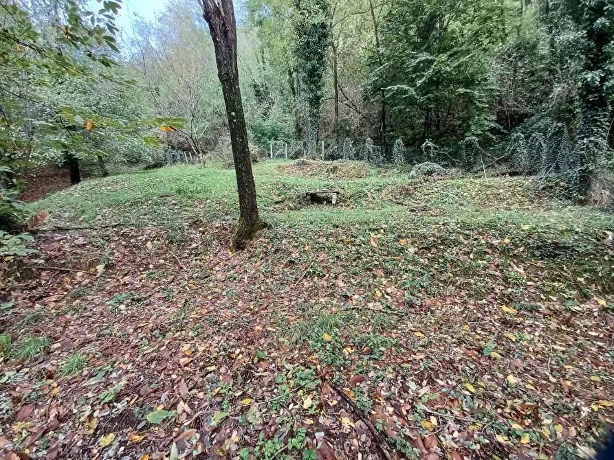 Immagine 67 di Terratetto in vendita  a Bagni Di Lucca