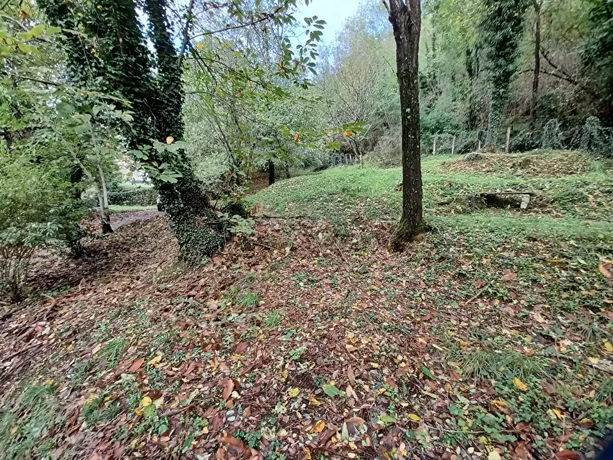 Immagine 65 di Terratetto in vendita  a Bagni Di Lucca