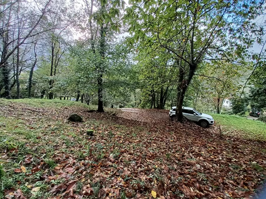Immagine 69 di Terratetto in vendita  a Bagni Di Lucca