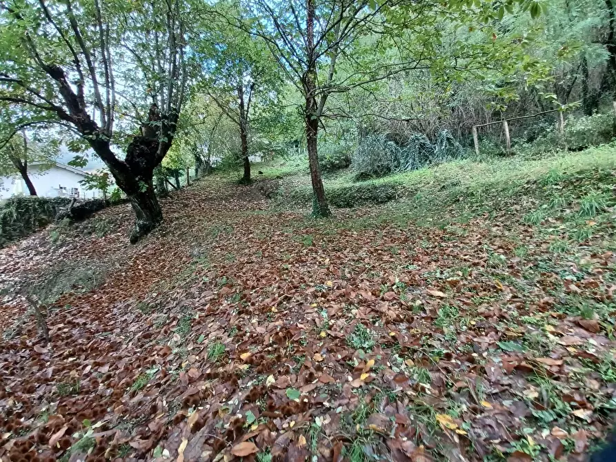 Immagine 71 di Terratetto in vendita  a Bagni Di Lucca