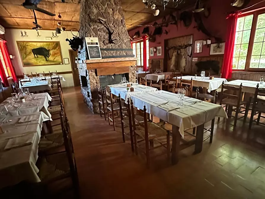 Immagine 3 di Casa indipendente in vendita  a Sassetta