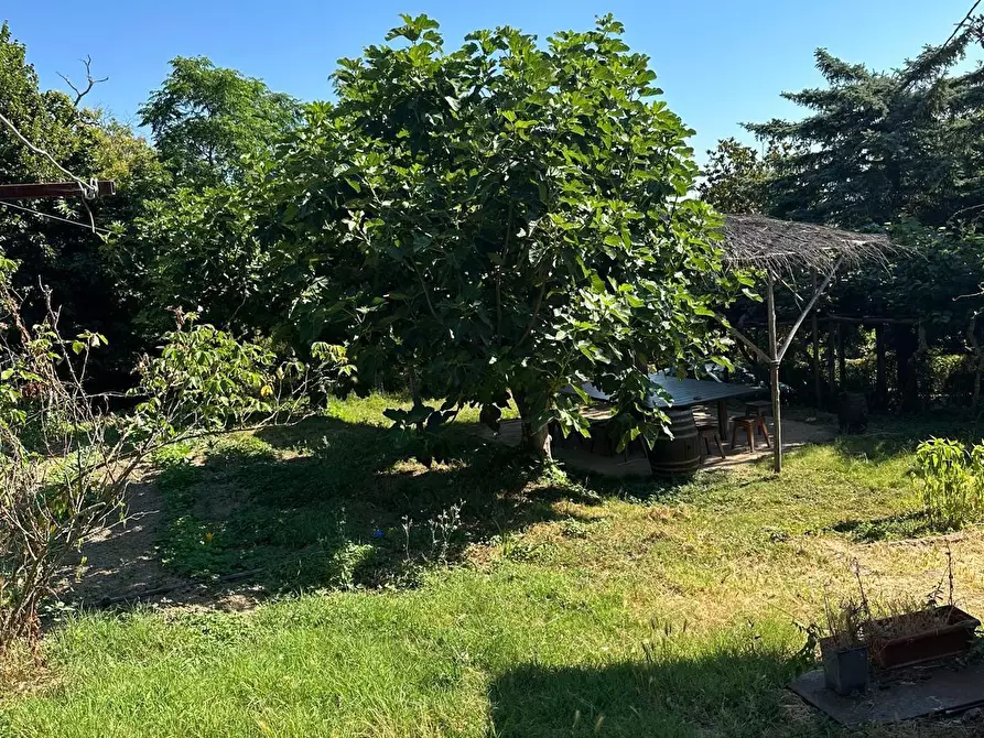 Immagine 2 di Casa indipendente in vendita  a Sassetta