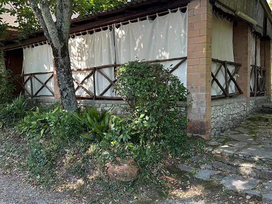 Immagine 9 di Casa indipendente in vendita  a Sassetta