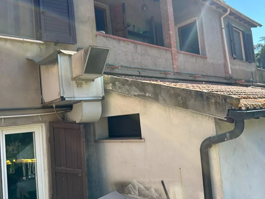 Immagine 4 di Casa indipendente in vendita  a Sassetta