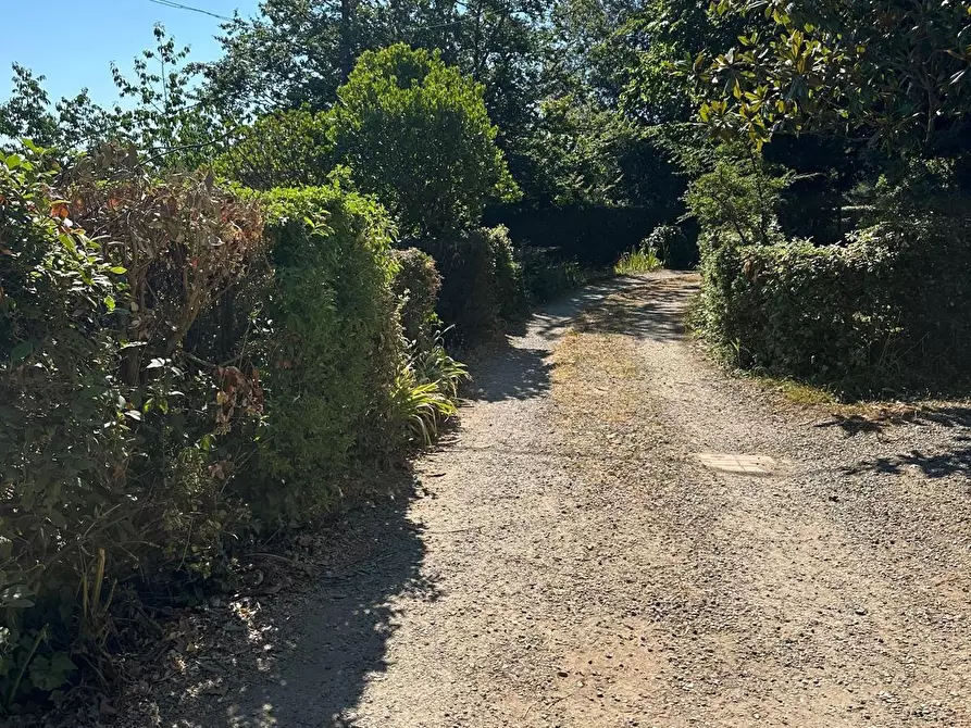 Immagine 6 di Casa indipendente in vendita  a Sassetta