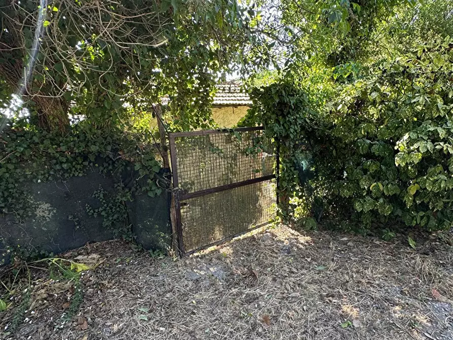 Immagine 7 di Casa indipendente in vendita  a Sassetta