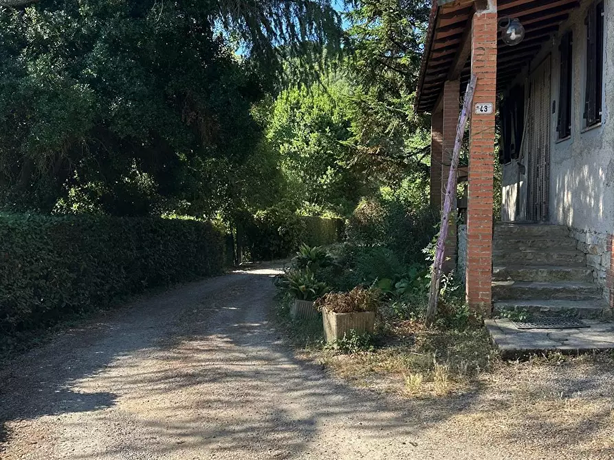 Immagine 8 di Casa indipendente in vendita  a Sassetta